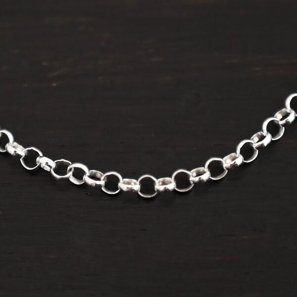 Sterling Silver Rachel Rolo - Shiny shown on dark background