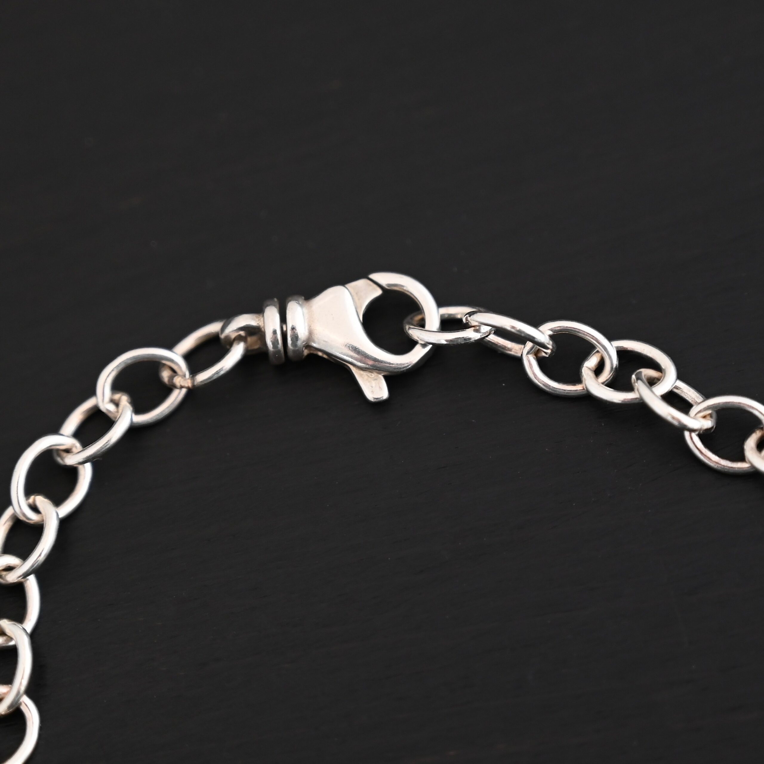 Sterling Silver Jay Chain - Shiny shown on dark background