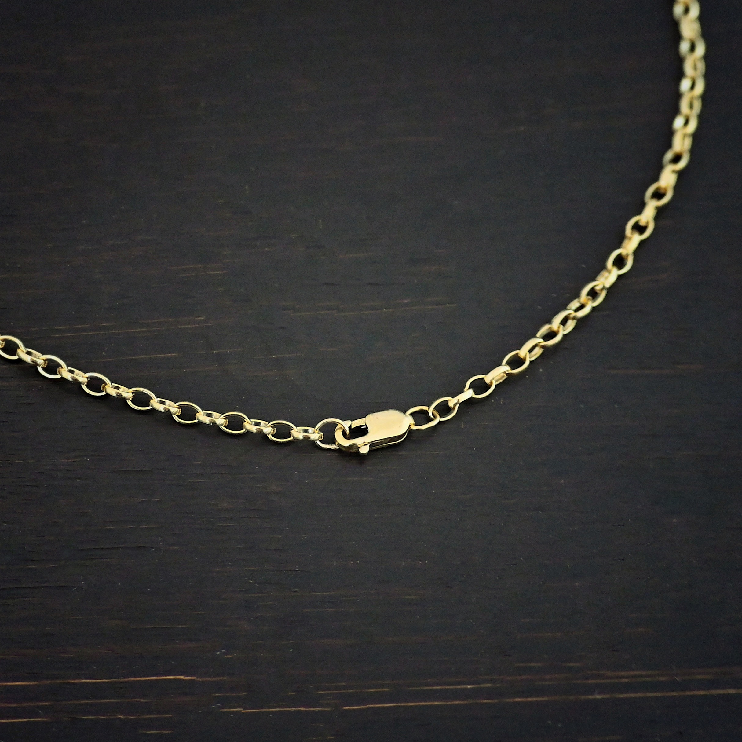 14k gold filled Ruby Rolo Chain shown on dark background