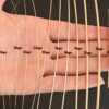 Gold Filled Round wire all sizes shown in hand