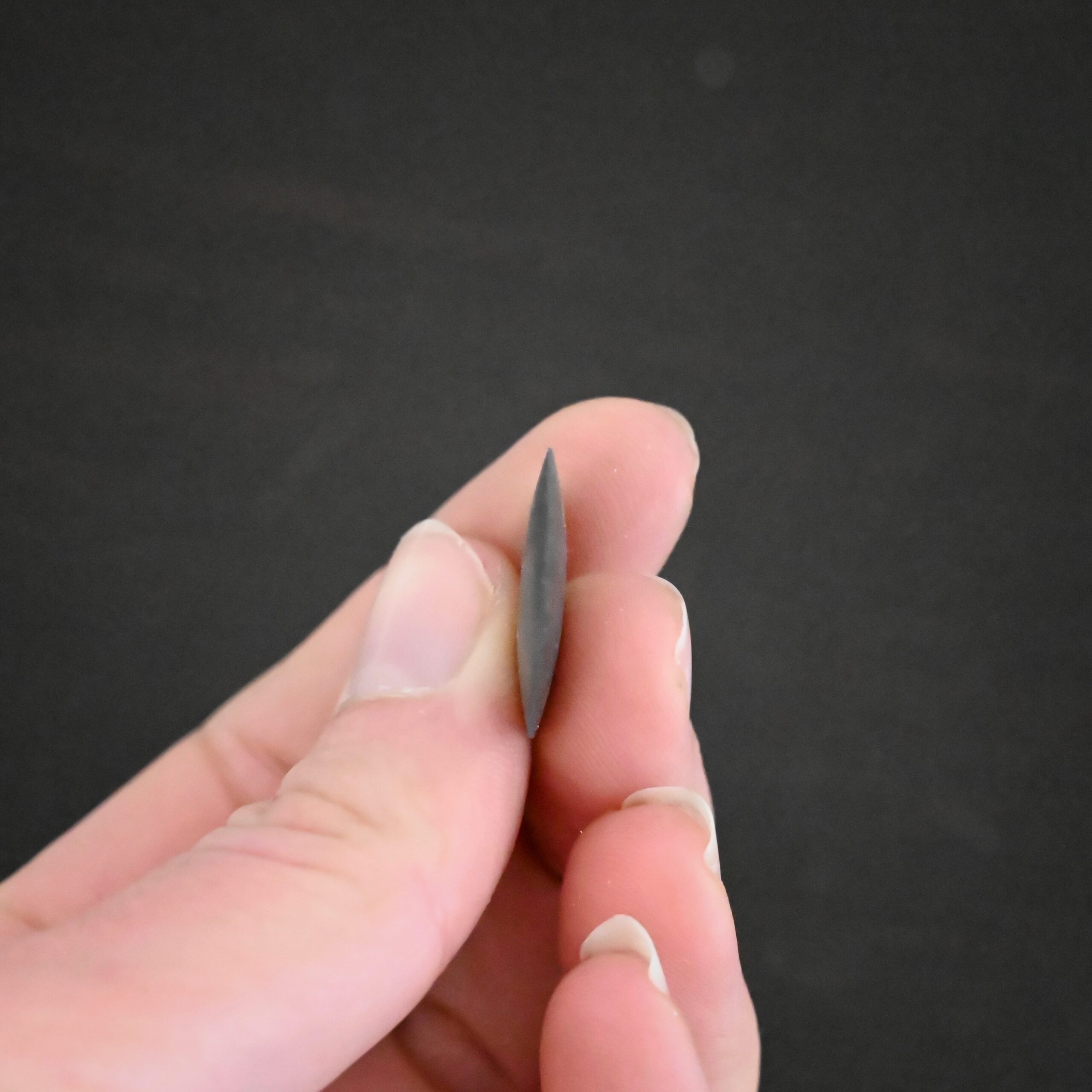 Black Polishing Wheel shown in hand