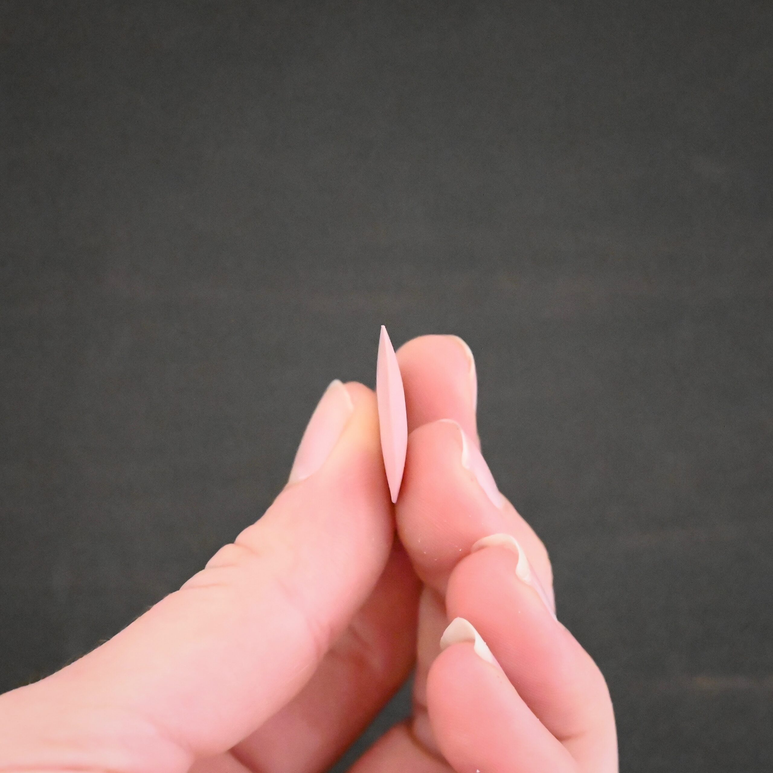 Pink Polishing Wheel shown in hand