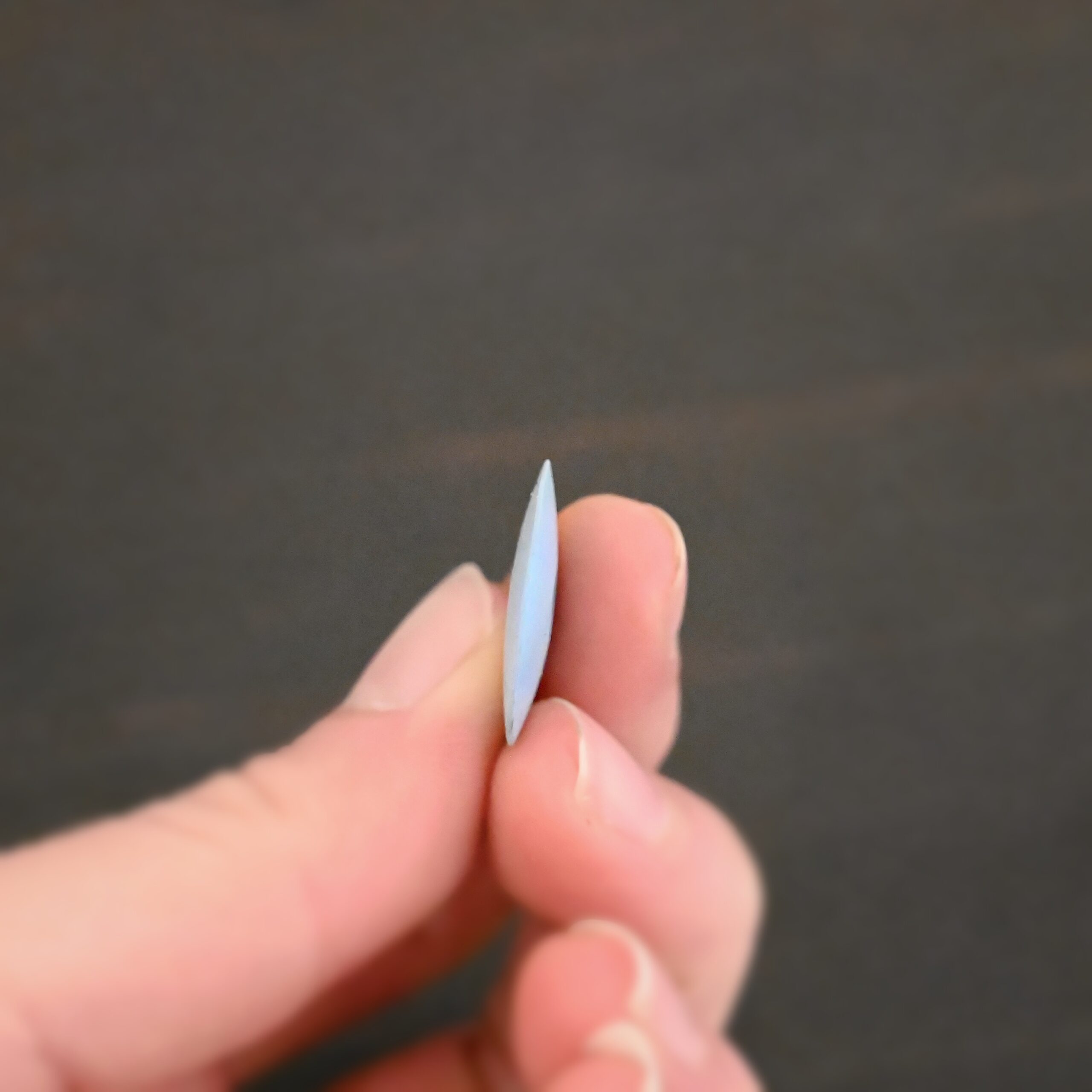 Blue Polishing Wheel shown in hand