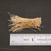 14k gold 30 gauge ball headpins shown by ruler