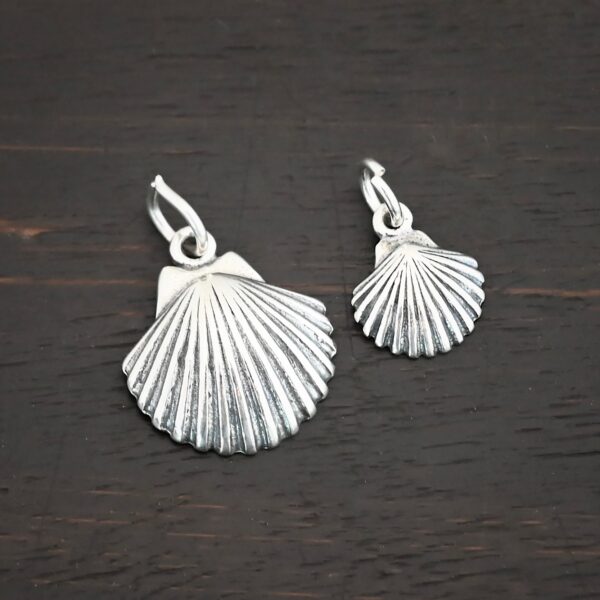 Silver Sea Shell Charms shown on dark background