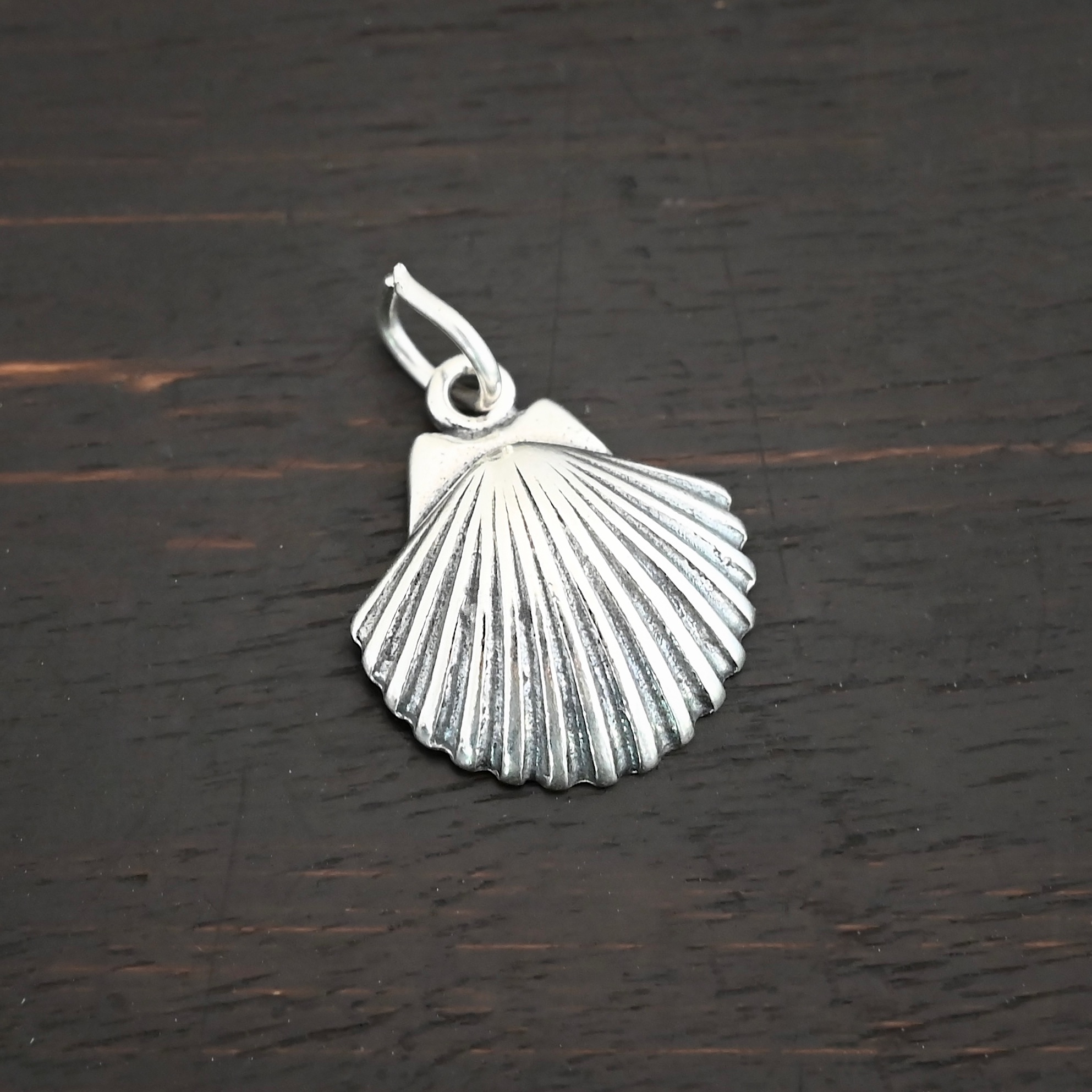 Silver Sea Shell Charm shown on dark background