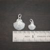 Silver sea shell charms shown by ruler