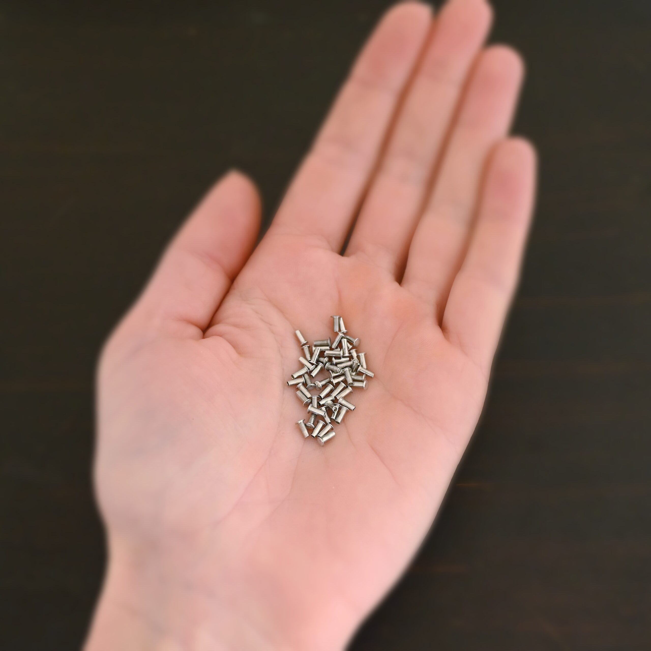 Aluminum Rivets 1/16x5/32 shown in hand