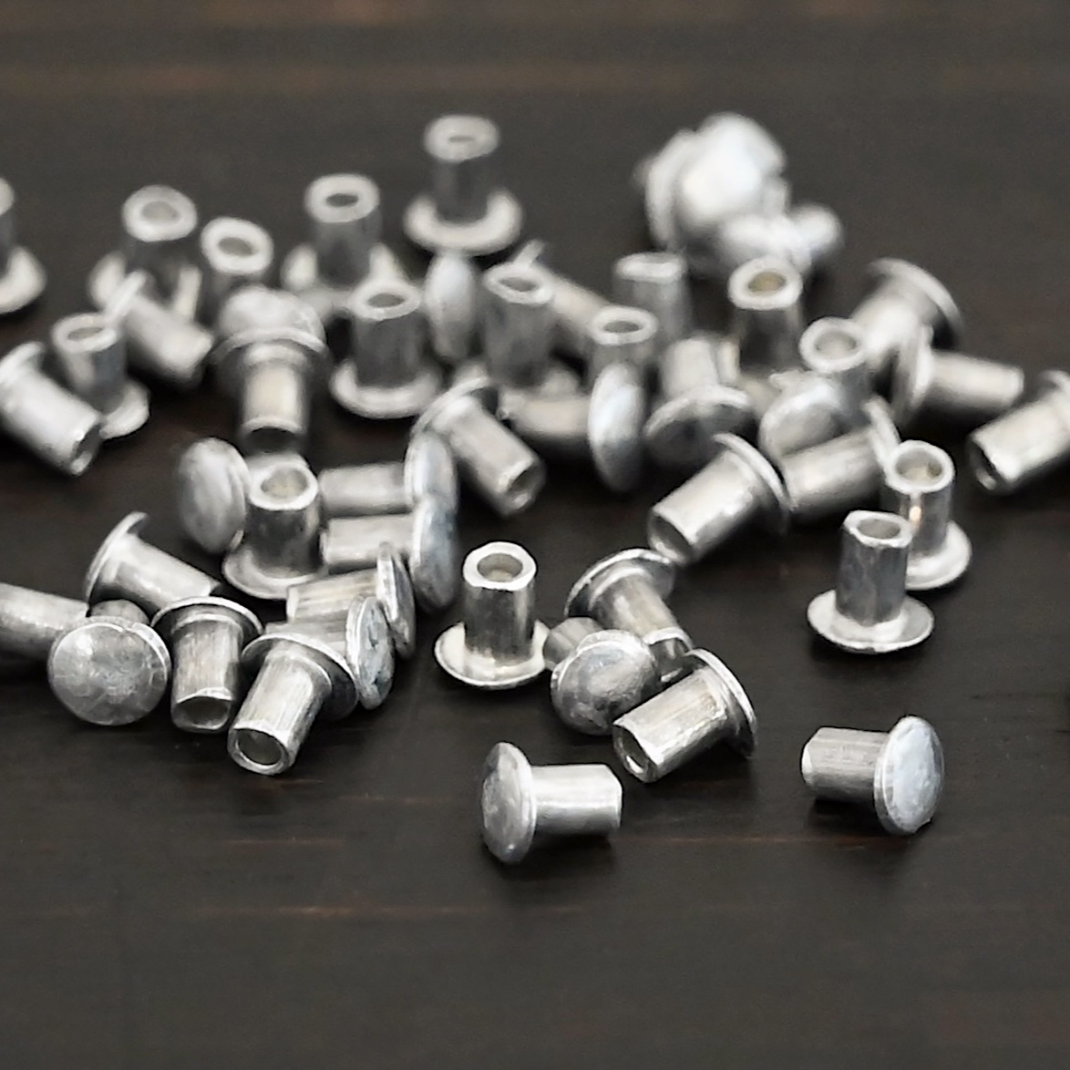Aluminum Rivets shown on dark background