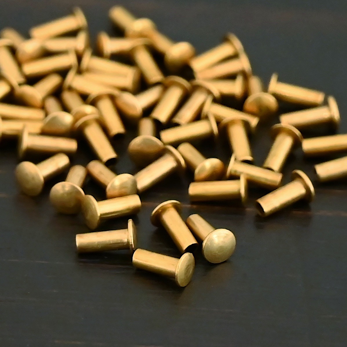 1/16x5/32 Brass Rivets shown on dark background