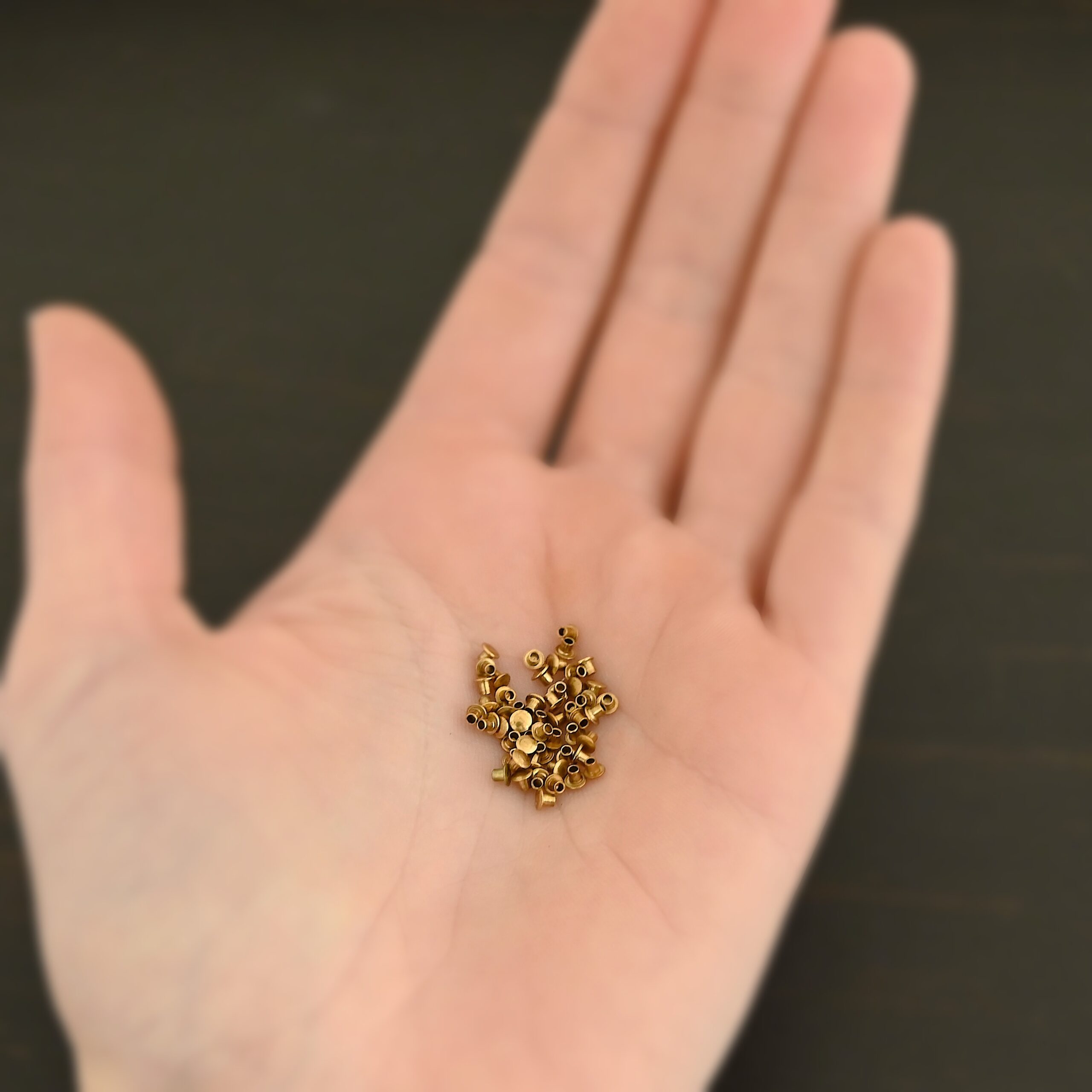 1/16x1/16 Brass Rivets shown in hand