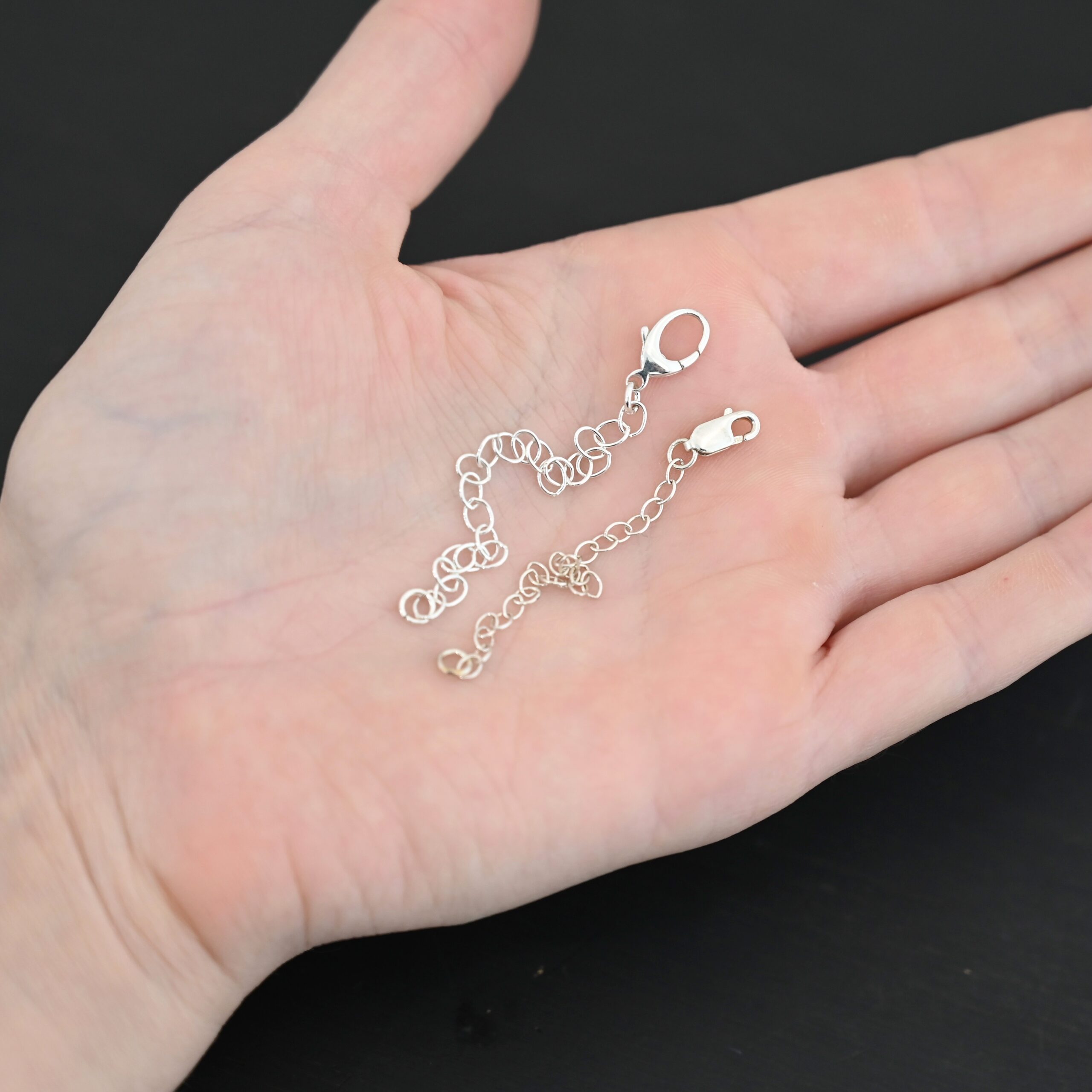 Everett Extension - shiny shown in hand