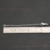 Eli Extension - shiny shown by ruler