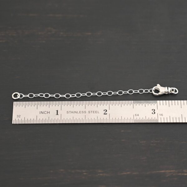 Eli Extension - shiny shown by ruler
