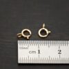 Skye 14k GF Spring Ring Clasp shown by ruler