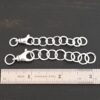 Eddie Extension - shiny shown by ruler
