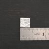Hammered Square - shiny 0 holes shown by ruler