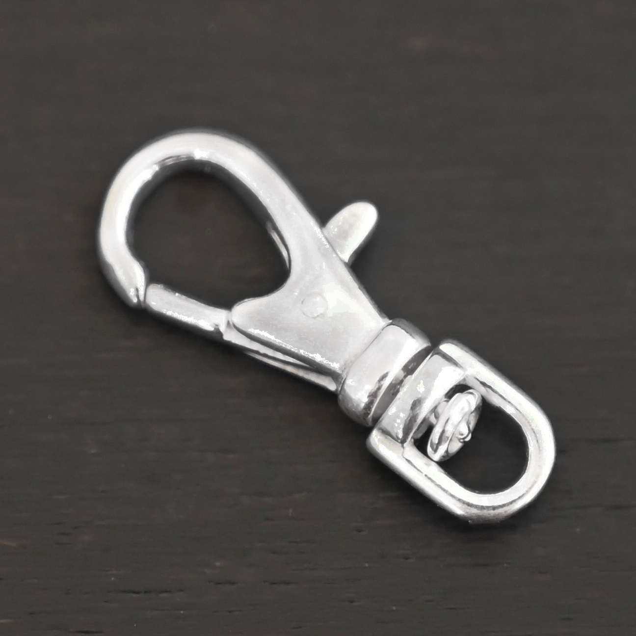 Sofia Swivel Lobster Claw - shiny shown on dark background