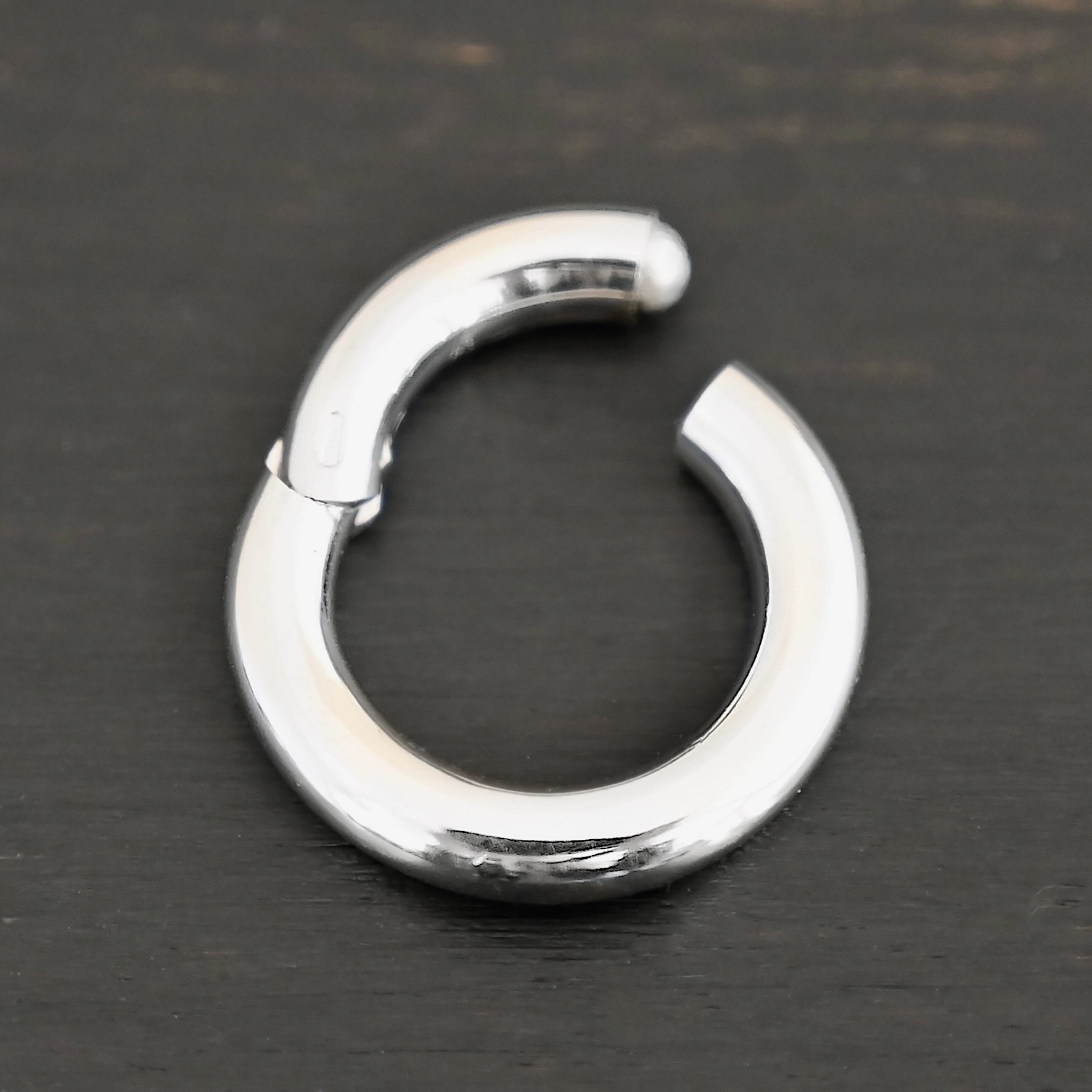 Haven Hinged Clasp - shiny shown on dark background