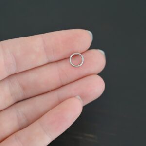 Stainless Steel Hinged Ring Clasp – Hayes