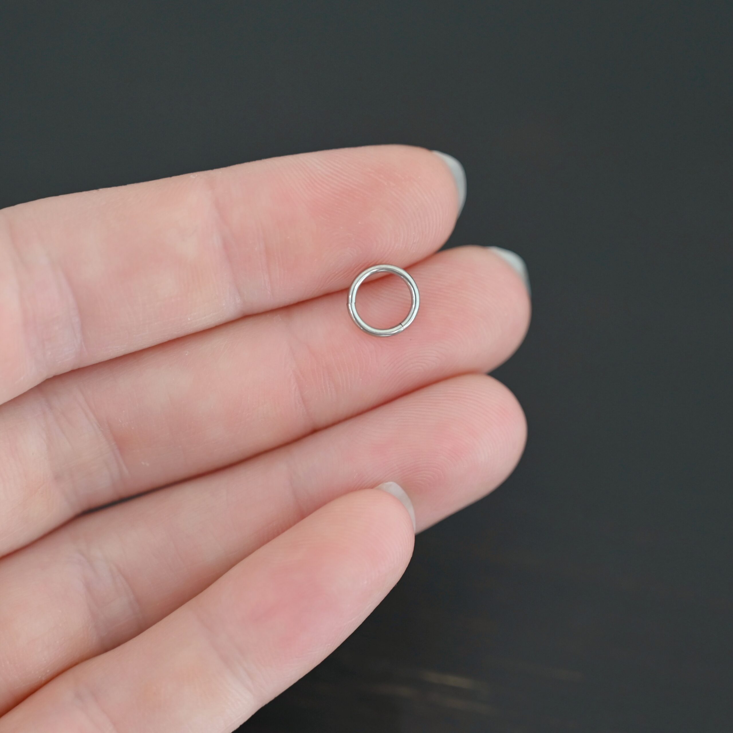 Hayes Stainless Steel Hinged Clasp Hayes Stainless Steel Hinged Clasp shown in hand