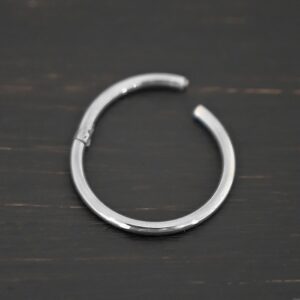 Stainless Steel Hinged Ring Clasp – Hayes