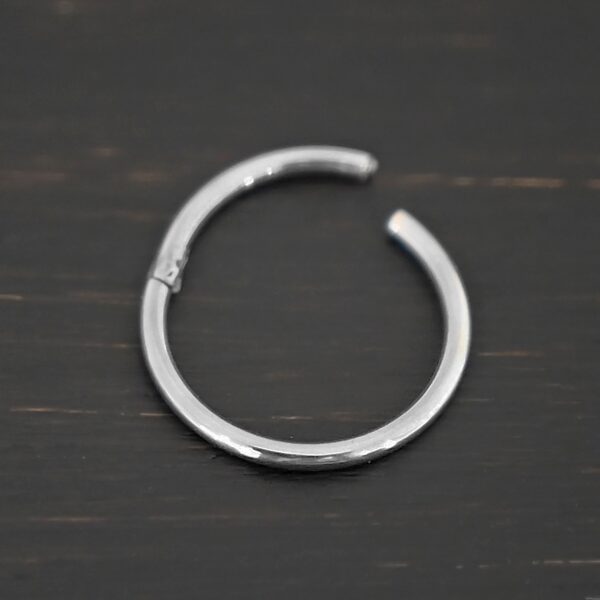 Hayes Stainless Steel Hinged Clasp shown on dark background