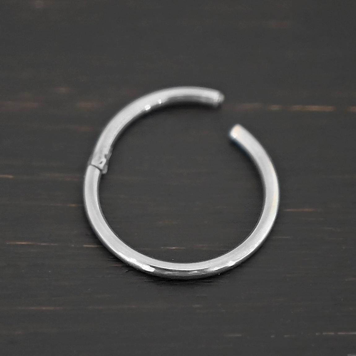 Hayes Stainless Steel Hinged Clasp Hayes Stainless Steel Hinged Clasp shown on dark background