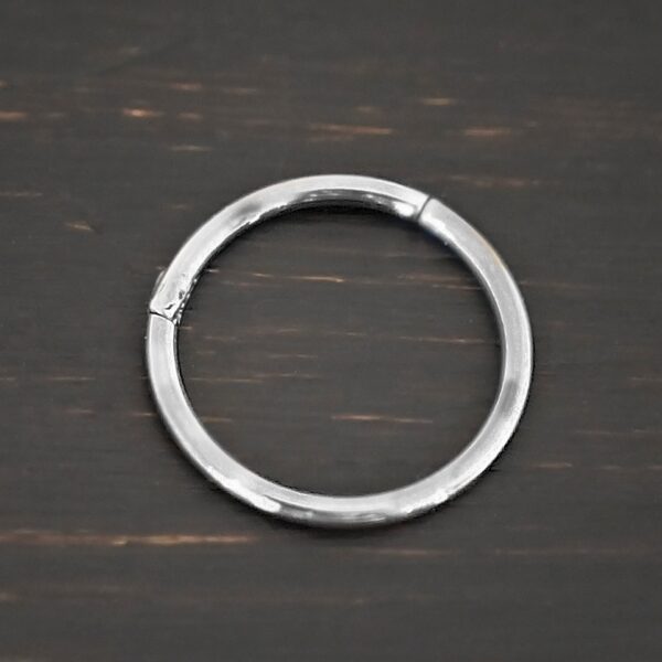 Hayes Stainless Steel Hinged Clasp shown on dark background