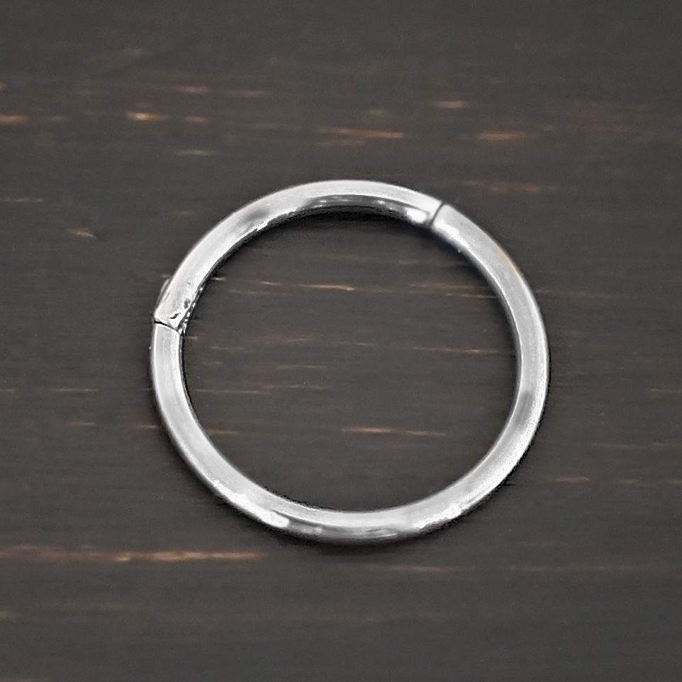 Hayes Stainless Steel Hinged Clasp Hayes Stainless Steel Hinged Clasp shown on dark background