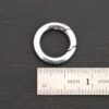 Pheonix Stainless Oval Clasp - 20.5mm shown by ruler