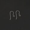Titanium Ear Wires - Wednesday - Thumbnail Image 15