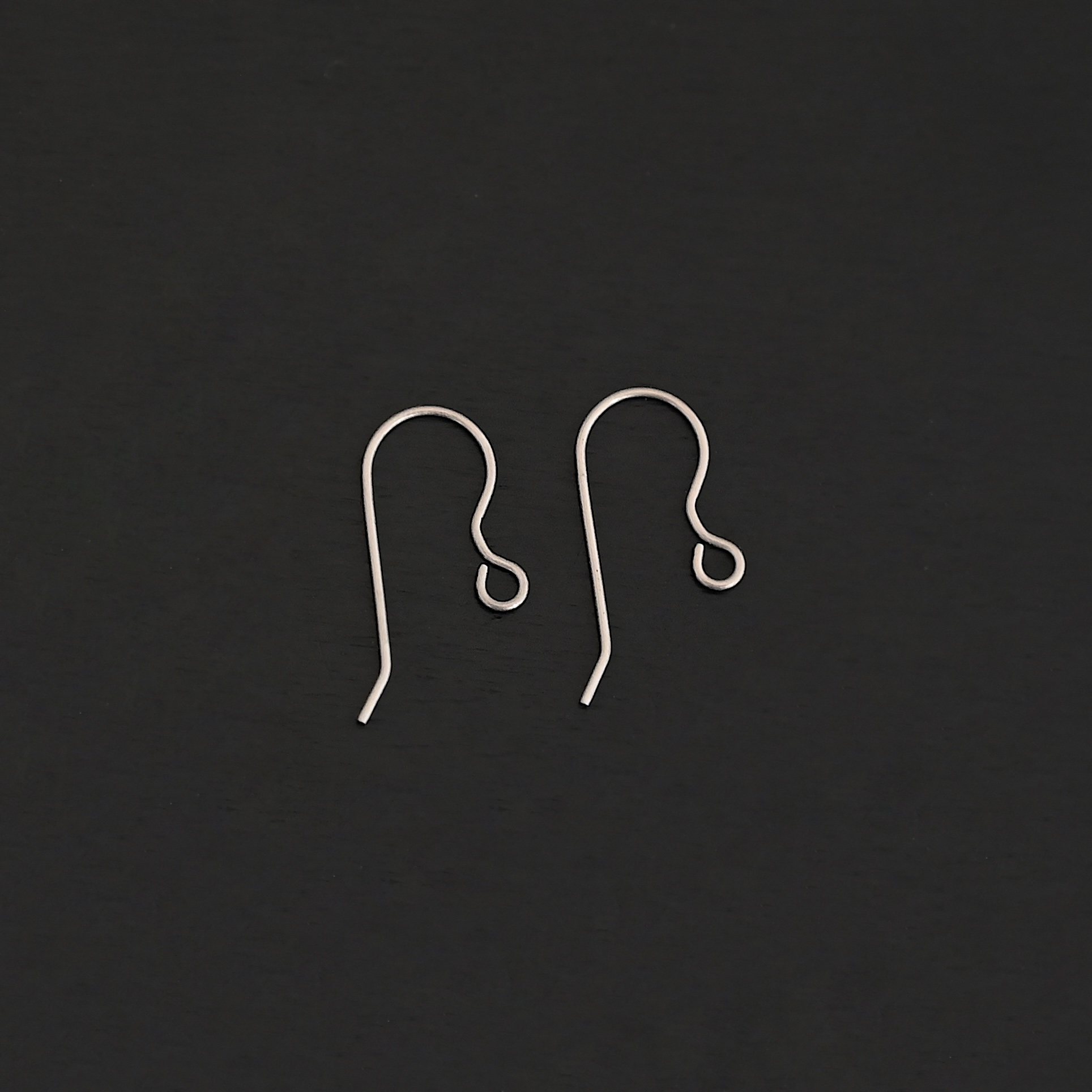 Titanium Ear Wires - Wednesday - Image 15