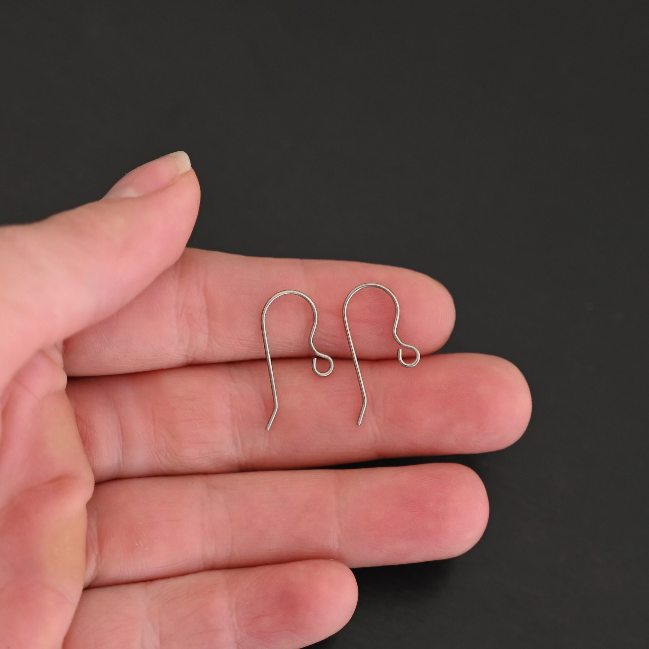 Titanium Ear Wires - Wednesday - Image 16