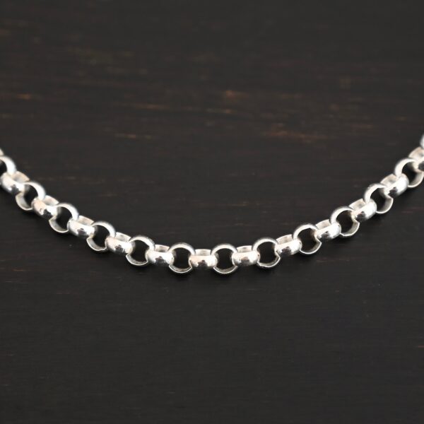 Roxy Rolo Chain shiny shown on dark background