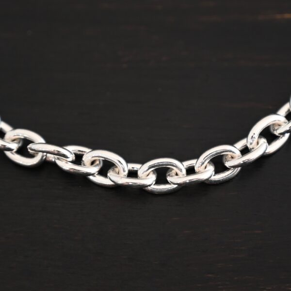 Georgia Chain shiny shown on dark background