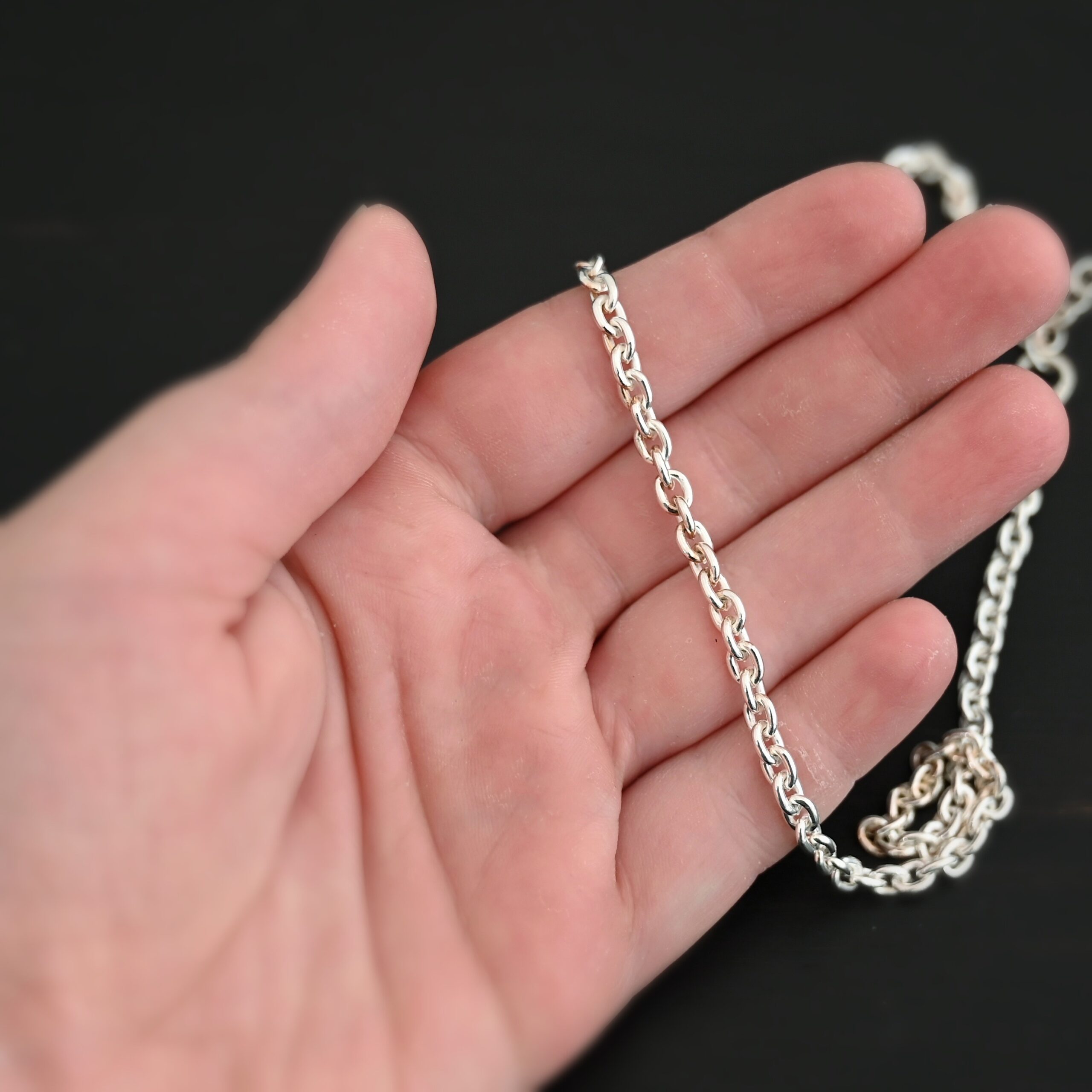 Joan Chain - shiny Joan Chain shiny shown in hand