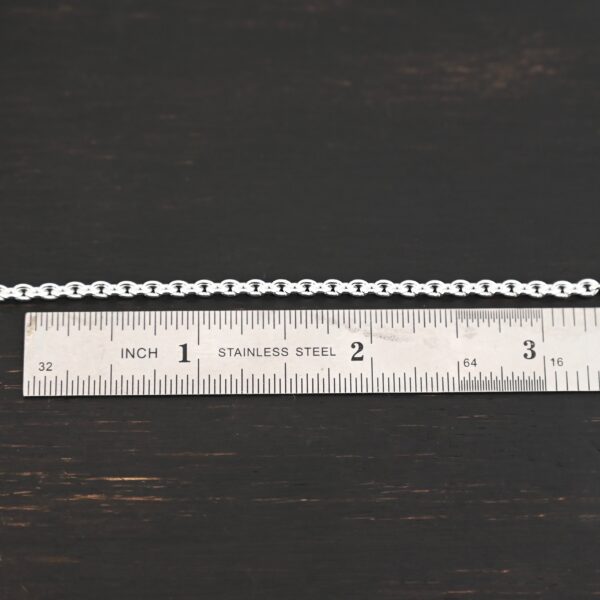 Maria Chain shiny shown by ruler