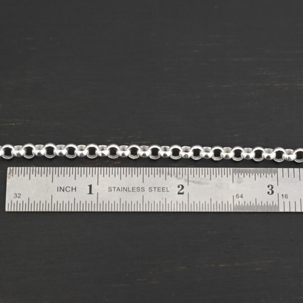 Roxy Rolo Chain shiny shown by ruler