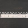 Allie Chain shiny shown by ruler