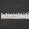 Willow Chain shiny shown by ruler