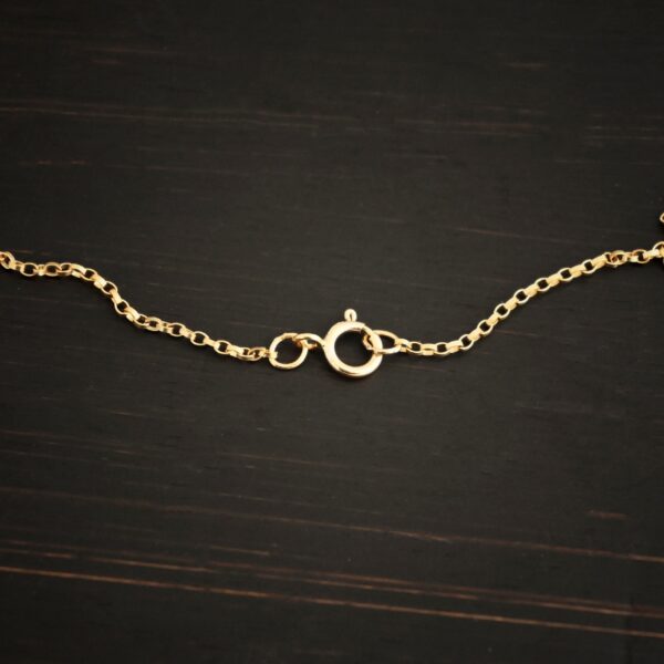 14k Gold Filled Jessica Rolo Chain shown on dark background