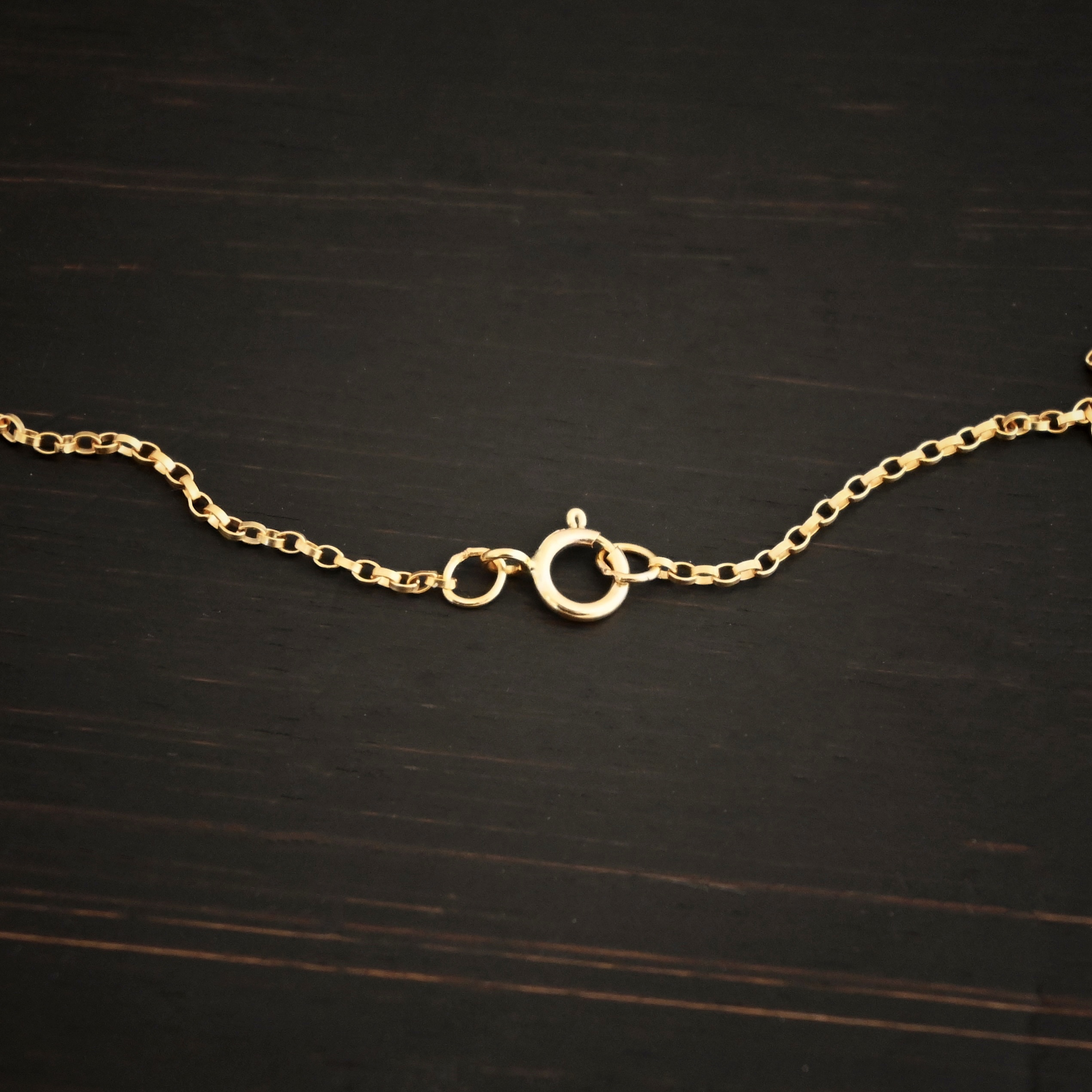 14k Gold Filled Jessica Rolo Chain shown on dark background
