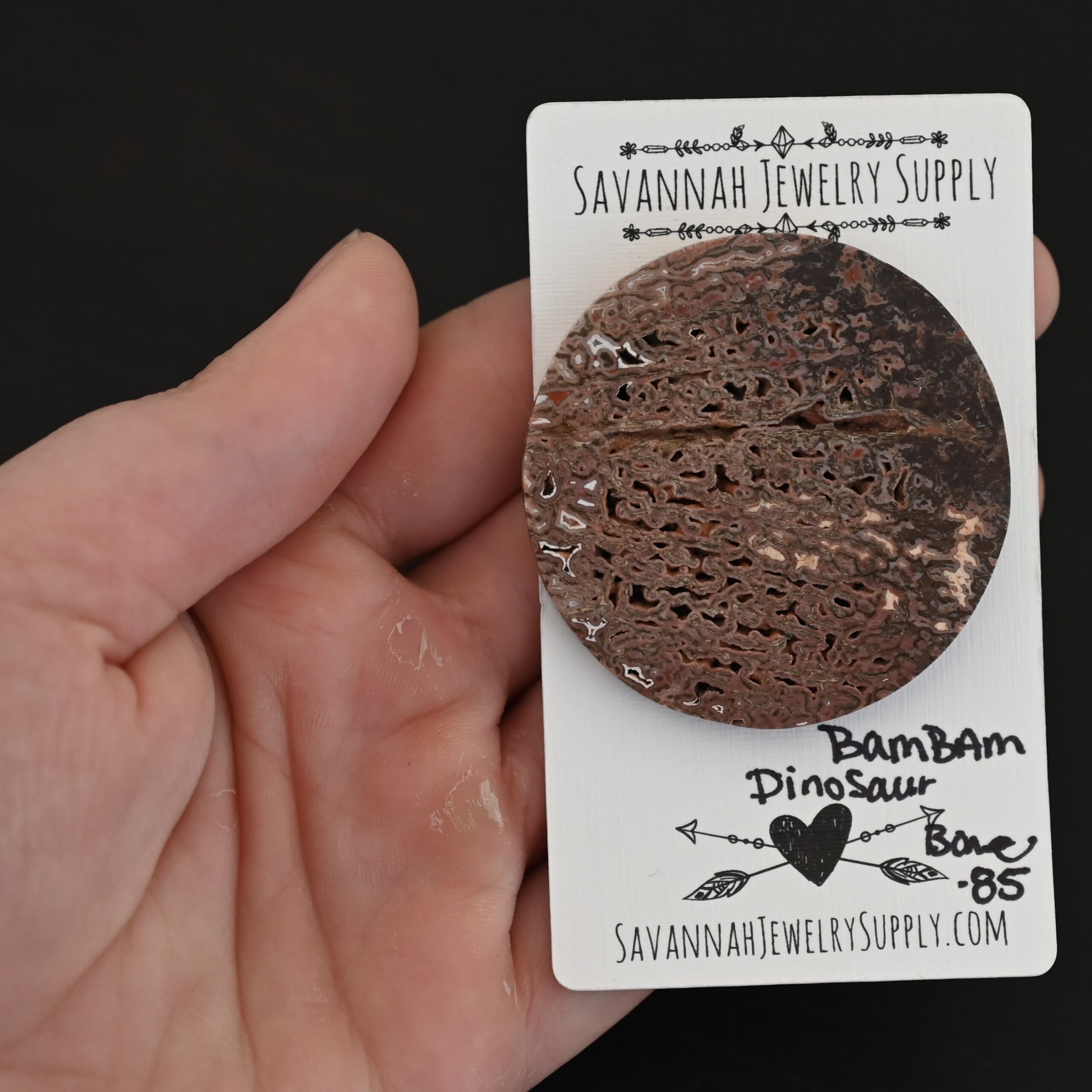 Bam Bam Dinosaur Bone Cabochon shown in hand