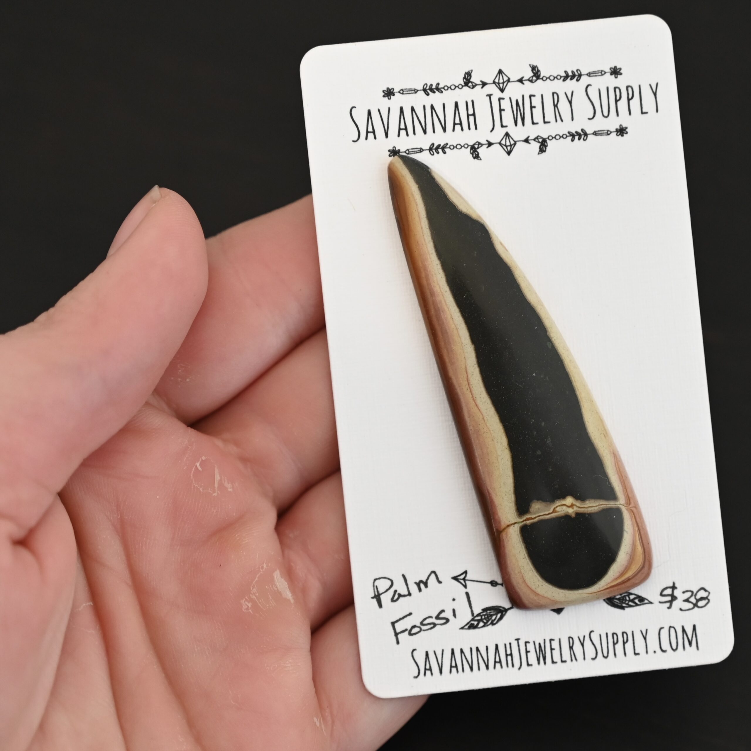 Palm Fossil Cabochon shown in hand