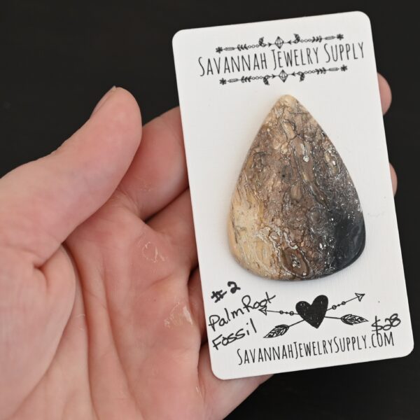 Palm Root Fossil Cabochon shown in hand