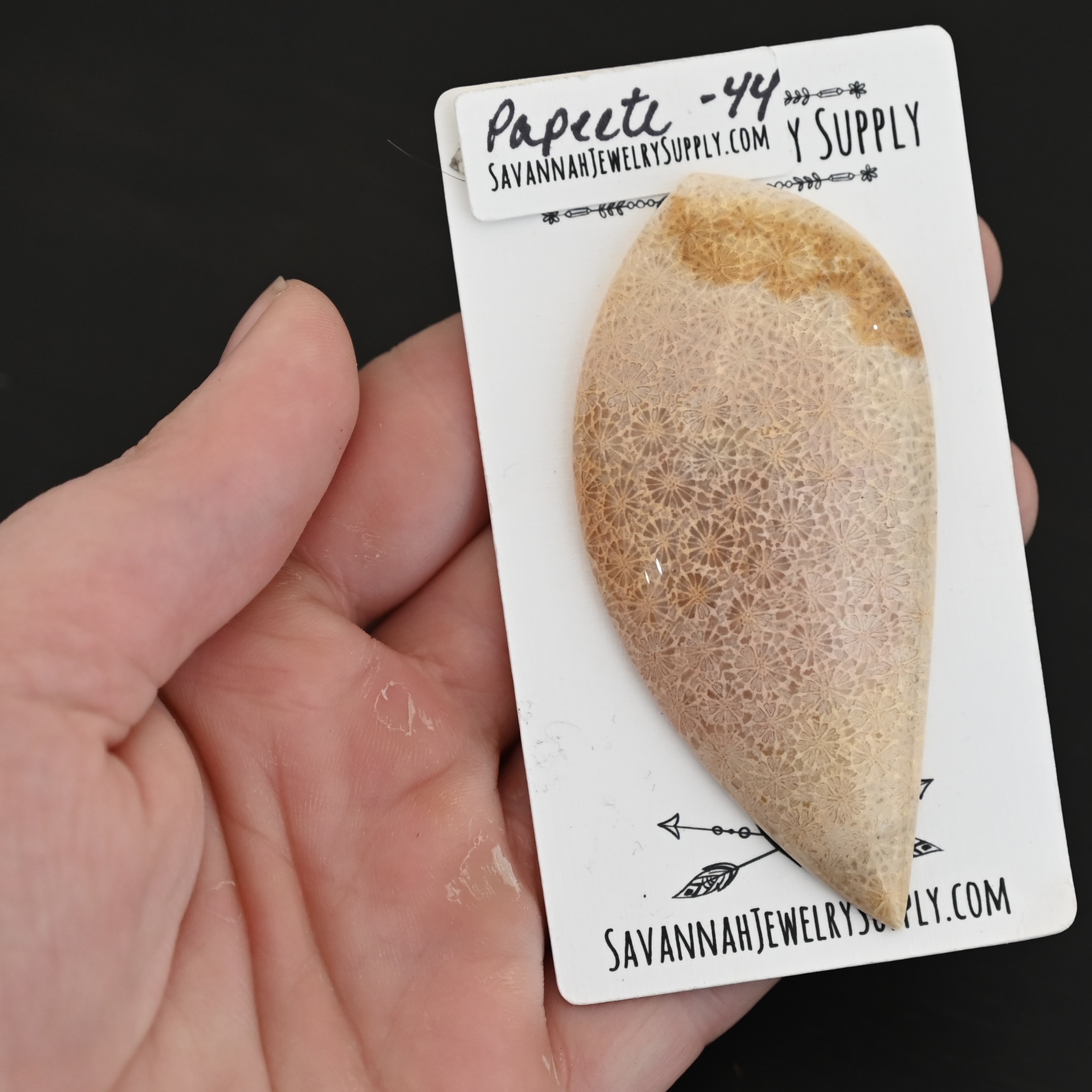 Papeete - Bali Star Coral Fossil Cabochon shown in hand