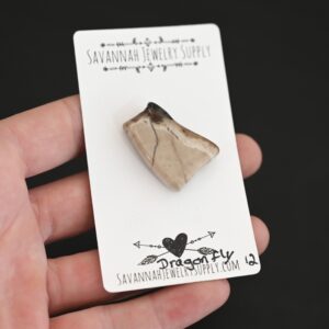 Fossilized Wood Cabochon – Dragonfly