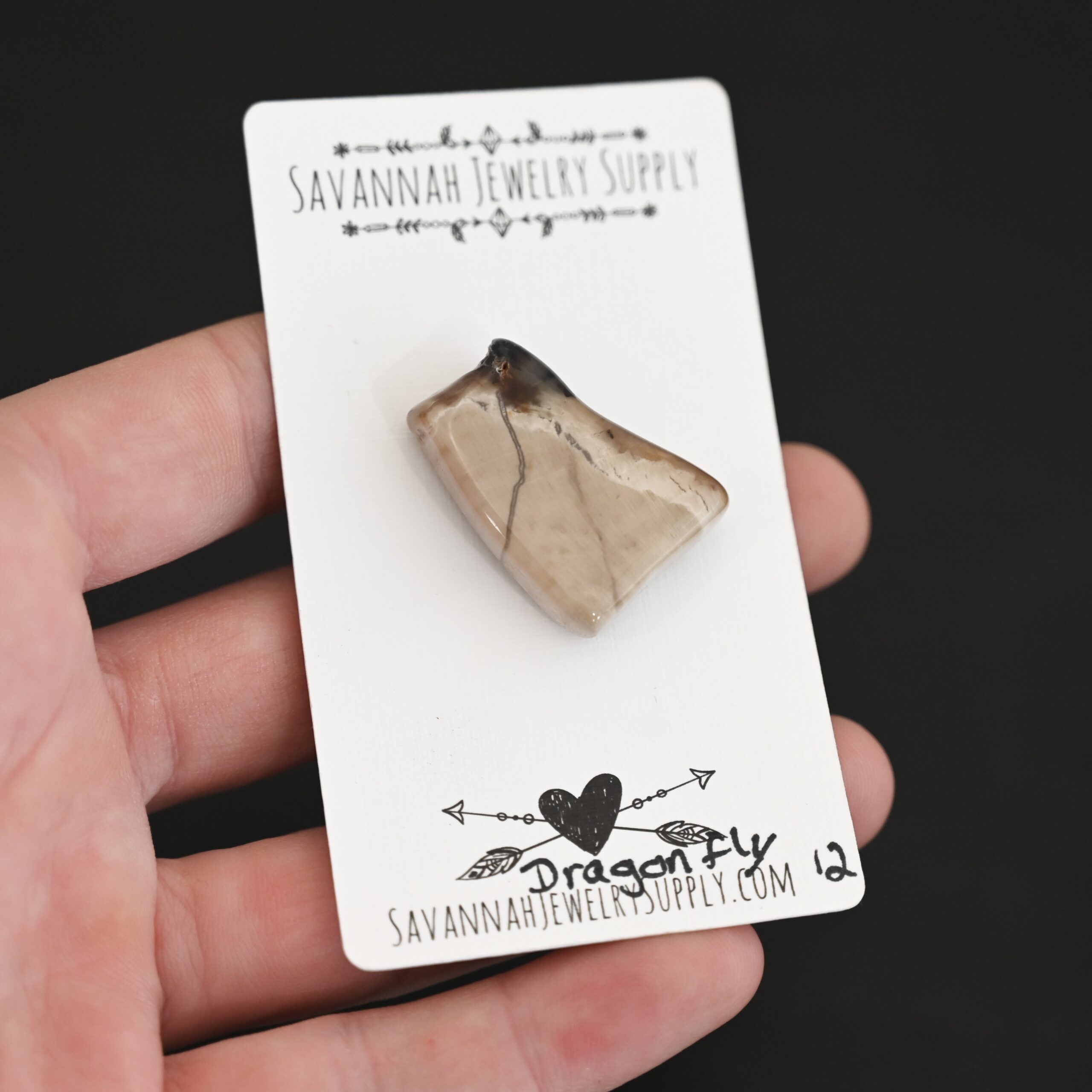 Dragonfly Fossilized Wood Cabochon shown in hand