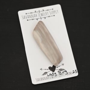 Fossilized Wood Cabochon – Lady Bug